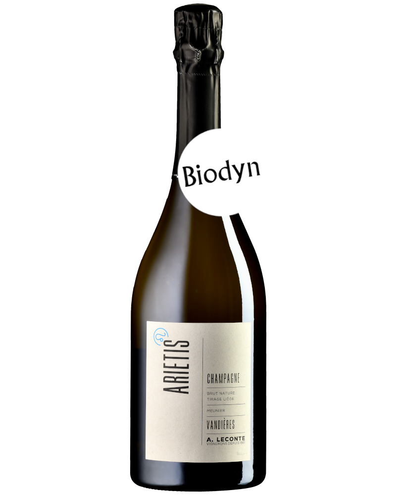 Degustationsbox Querschnitt medium