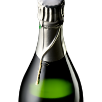 Champagne Domaine Prophète Yann, Millésime 2012, brut nature