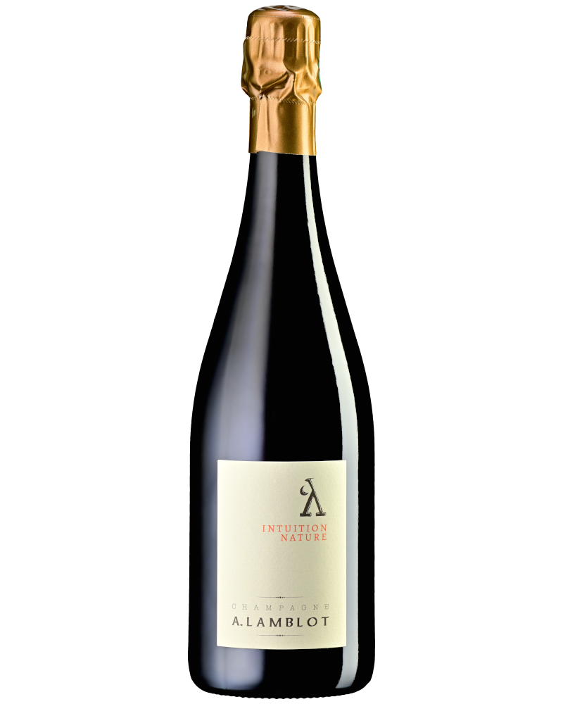 Degustationsbox Querschnitt medium