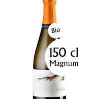 Champagne Petit-Clergeot, Les Commes, Magnum
