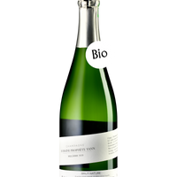 Champagne Domaine Prophète Yann, Millésime 2009, brut nature