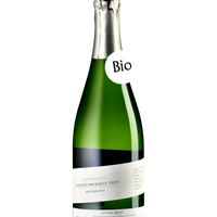 Champagne Domaine Prophète Yann, Millésime 2010, extra brut