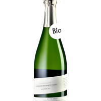 Champagne Domaine Prophète Yann, Millésime 2011, extra brut