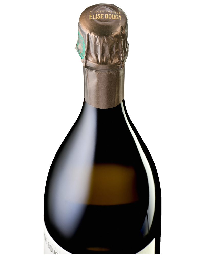 Champagne Elise Bougy, Le Mont Chainqueux, Magnum – lesbulles.wine