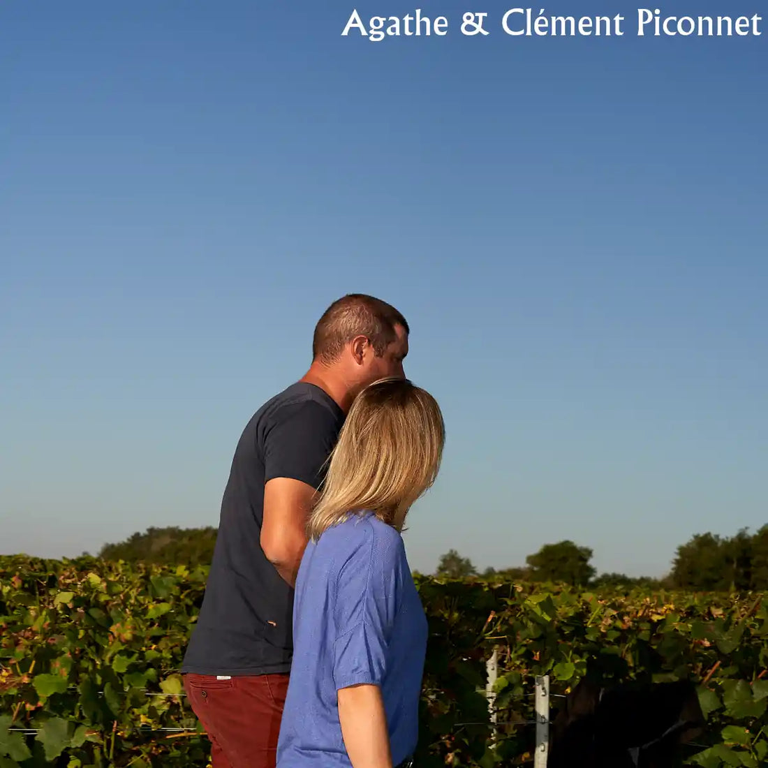 Grosse Champagner Jahresdegustation (Fr, 28.11.)