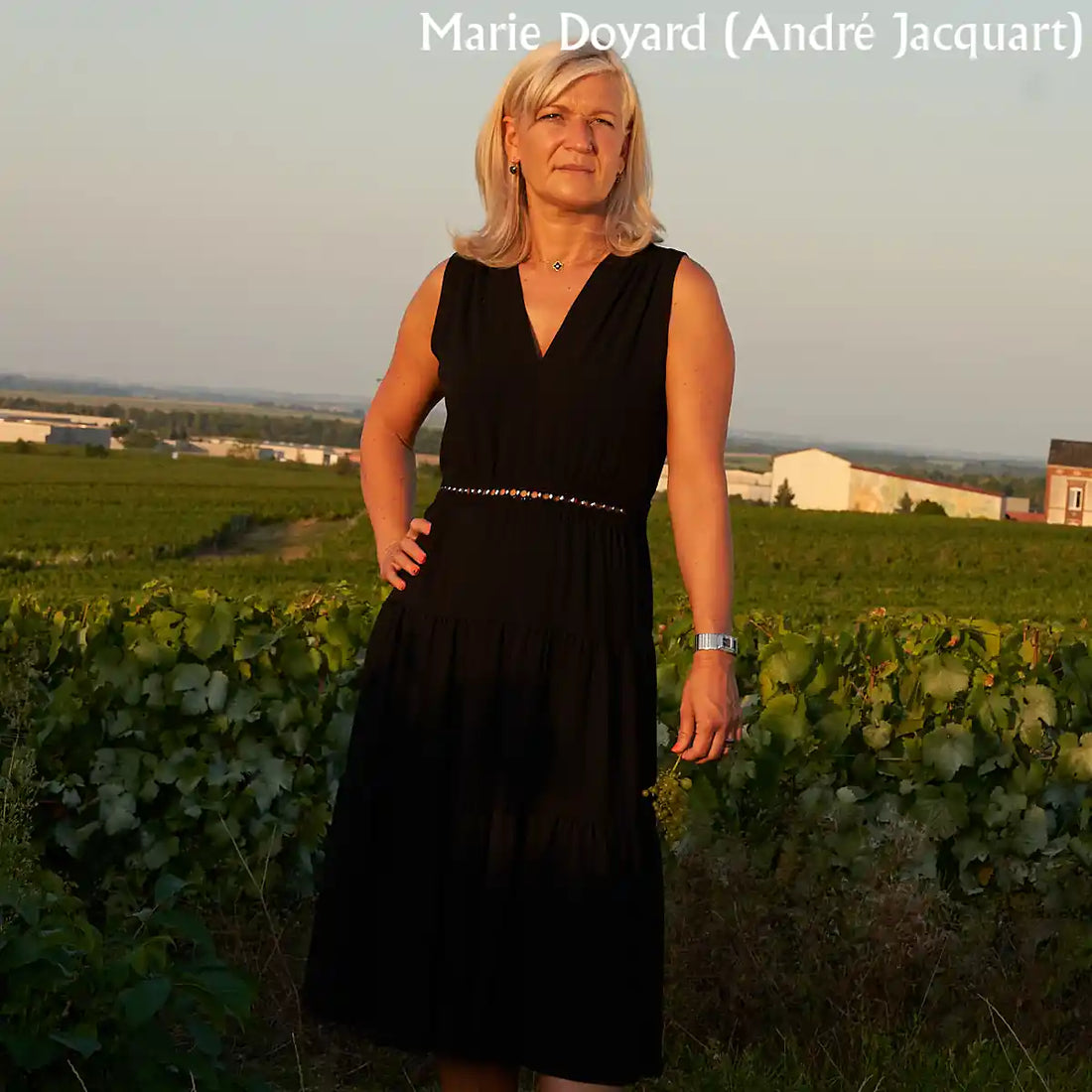 Grosse Champagner Jahresdegustation (Fr, 28.11.)