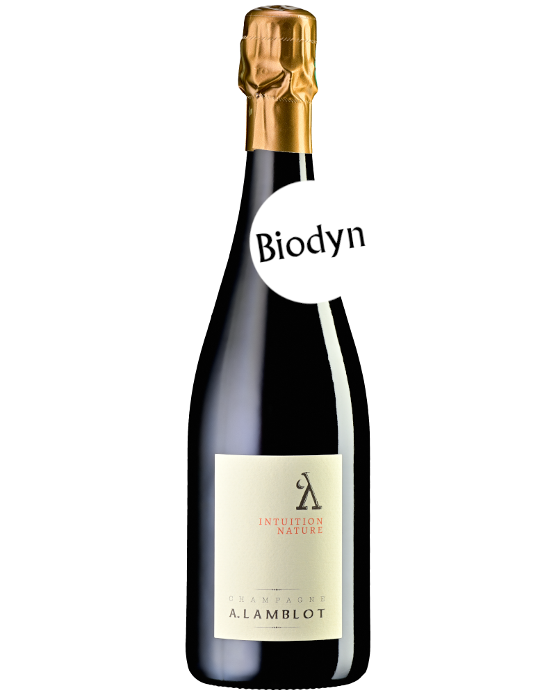 Champagne A. Lamblot, Intuition, brut nature – lesbulles.wine