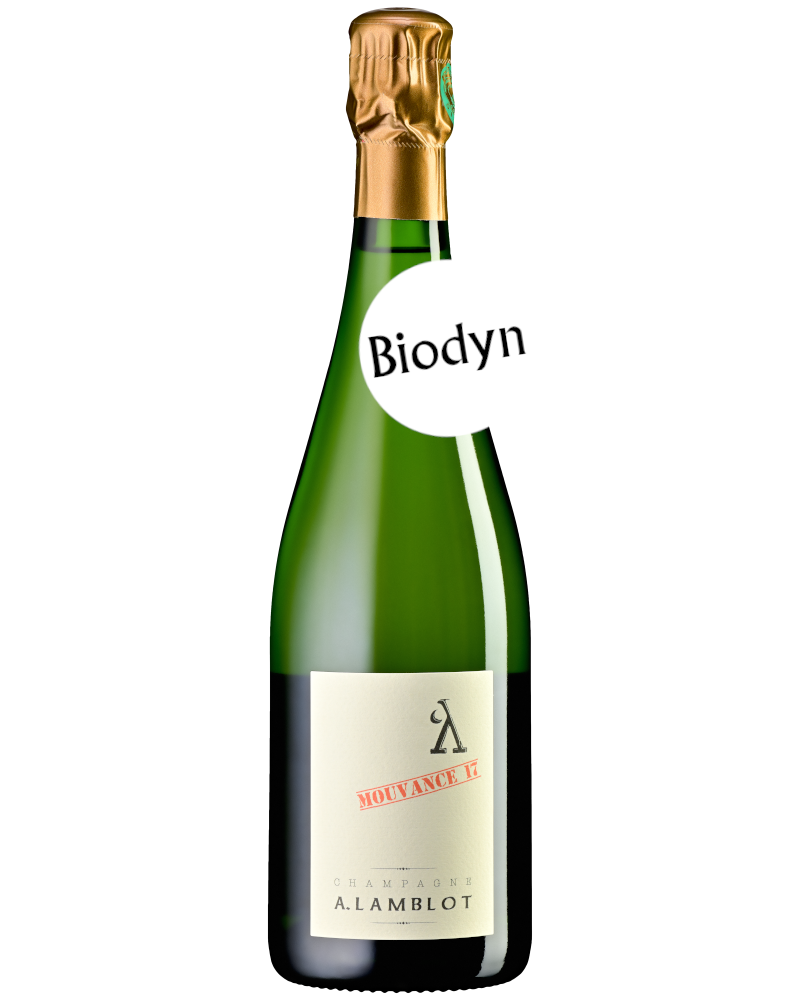 Degustationsbox Querschnitt medium