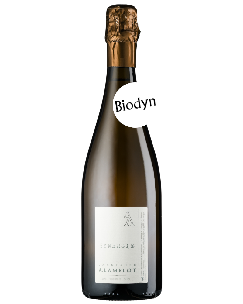 Champagne A. Lamblot, Synergie