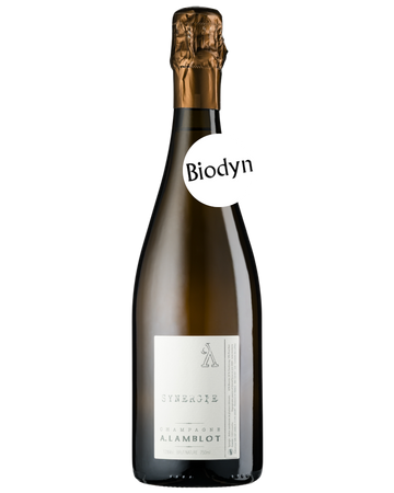 Champagne A. Lamblot, Synergie