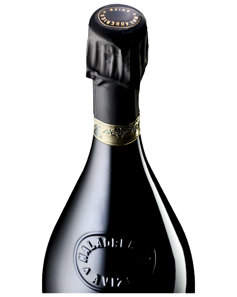 Champagne du Goupil, Les Belles Voyes 2013, extra-brut