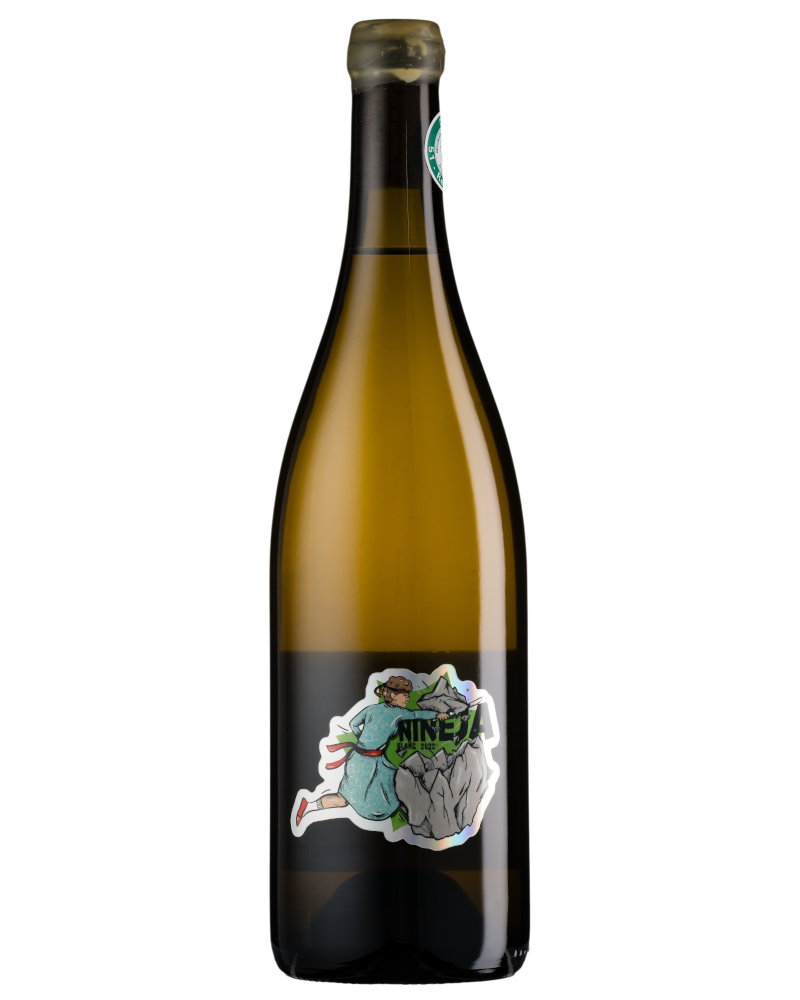 Champagne Petit-Clergeot, Côteaux Champenois Blanc Nineja 2022