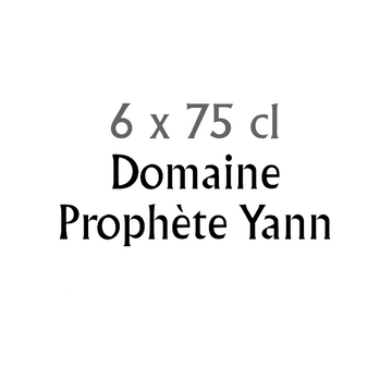Degustationsbox Champagne Domaine Prophète Yann