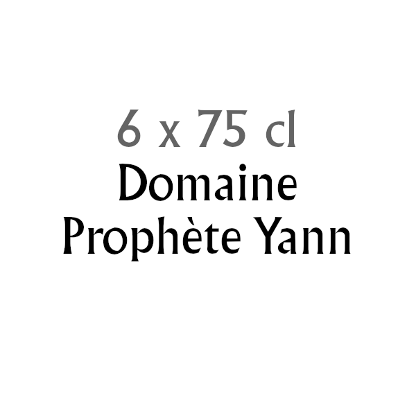 Degustationsbox Champagne Domaine Prophète Yann