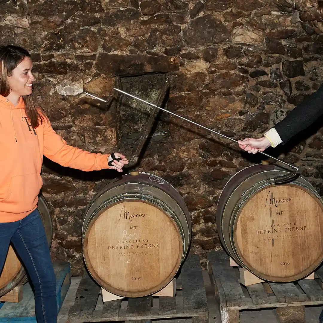 La grande bataille: Winzerchampagner vs. Markenchampagner